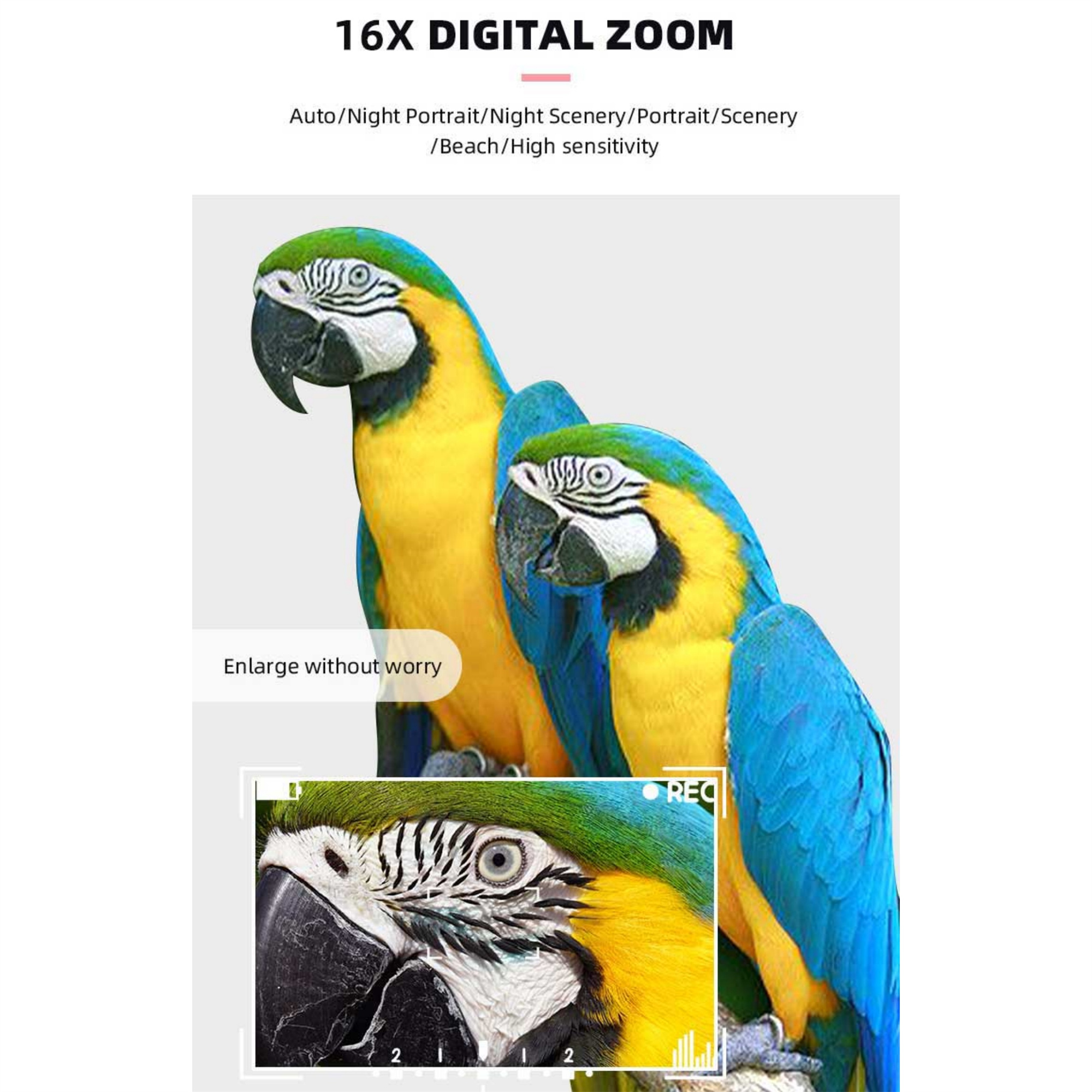 Zwei gelb-blaue Papageien mit einem vergrößerten Vorschaubild mit Details.