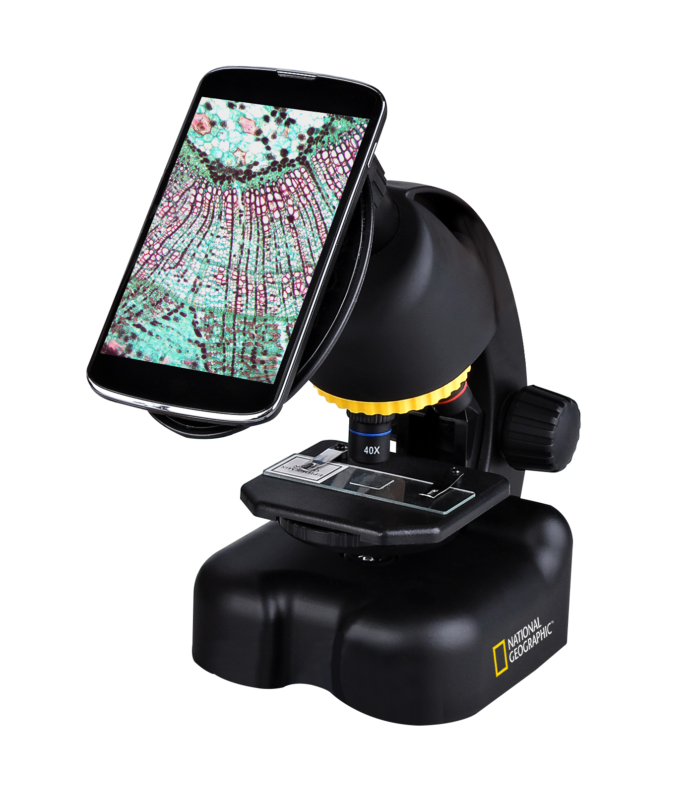 Microscopio con un smartphone adjunto, mostrando una imagen de estructura celular.
