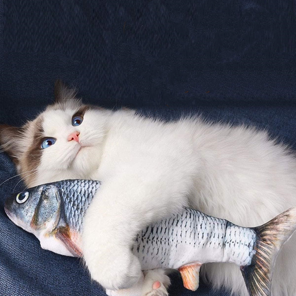 Eine weiße Katze mit blauen Augen, die ein fischförmiges Spielzeug auf einer blauen Oberfläche umarmt.