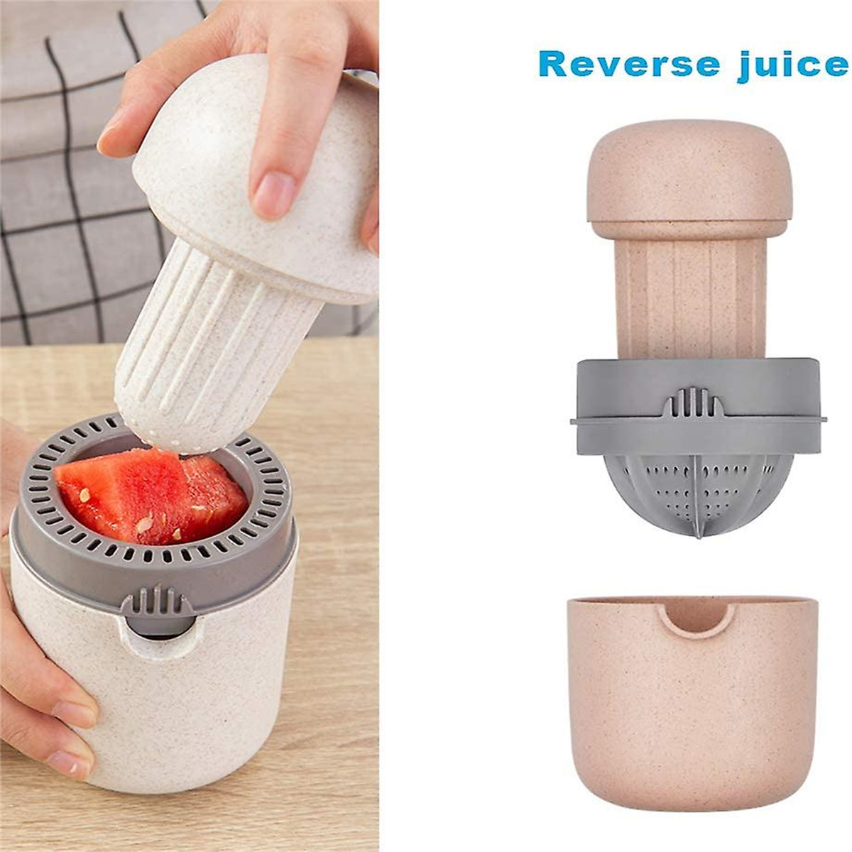 Saftpresse mit Wassermelone. Komponenten sind beige und grau.