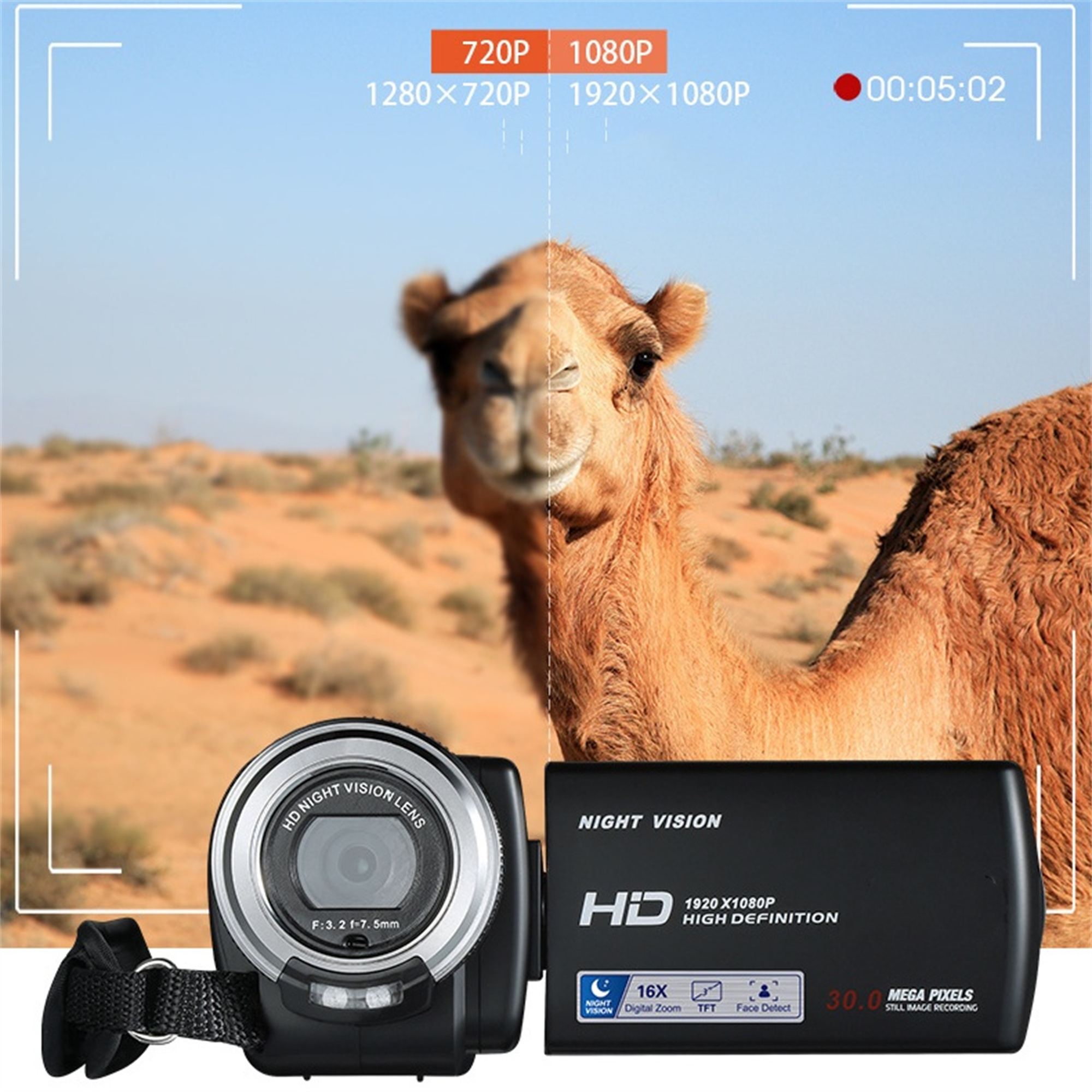 Camcorder nimmt Video auf. Ein Kamel in der Wüste ist sichtbar.
