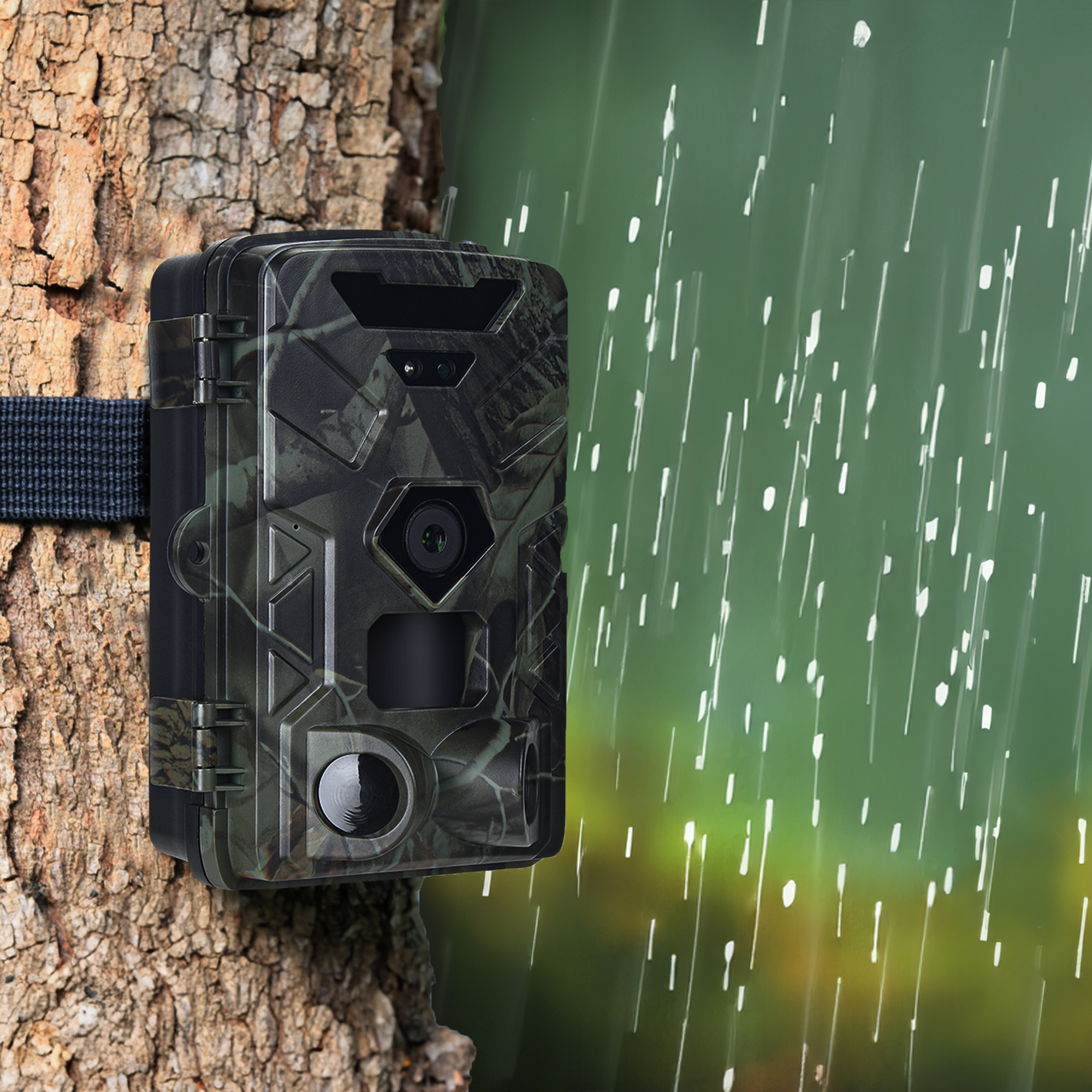 Camouflaged camera on a tree trunk, with rain falling in the background.