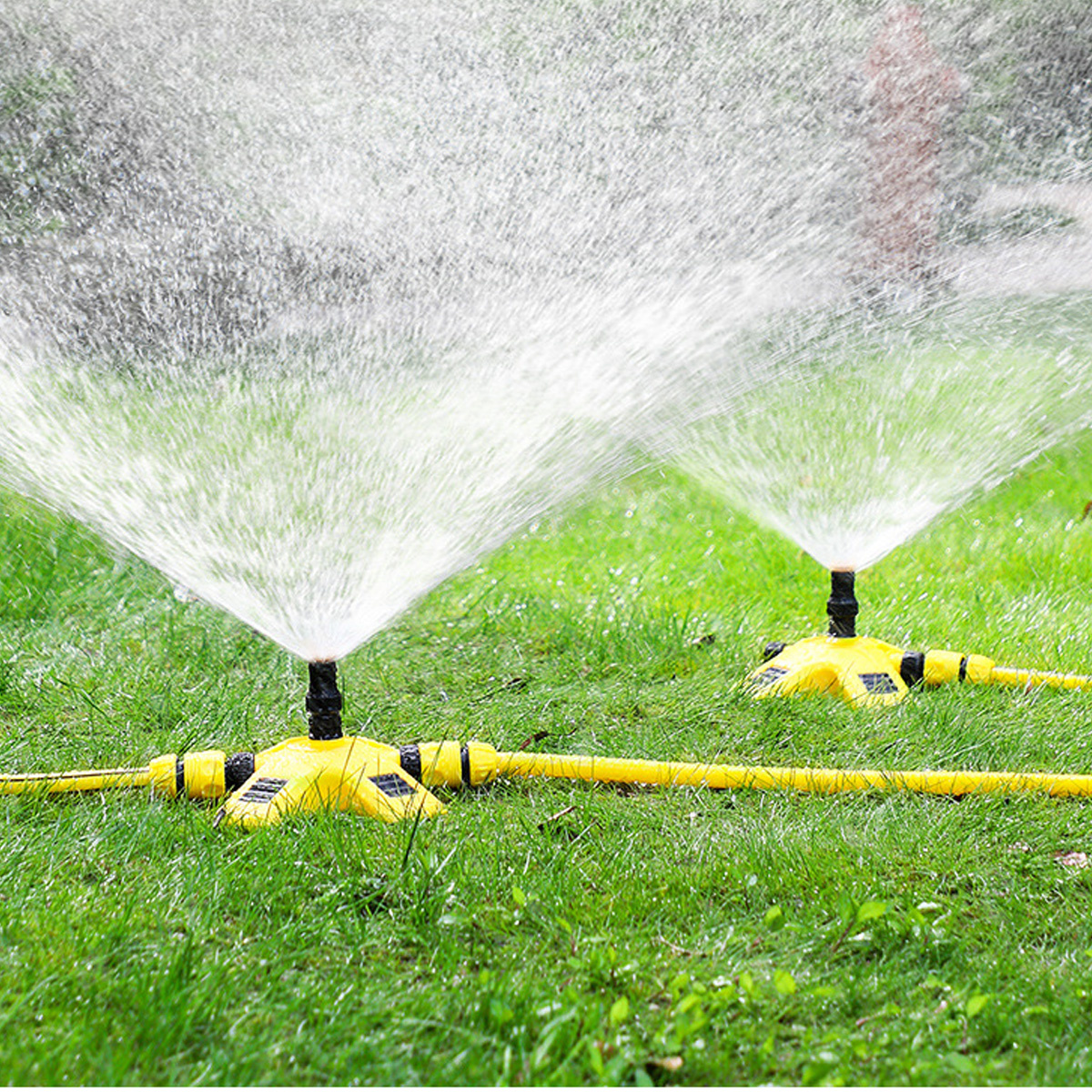 Zwei gelbe Rasensprenger versprühen Wasser auf grünem Gras, mit einem Verbindungsschlauch im Vordergrund.
