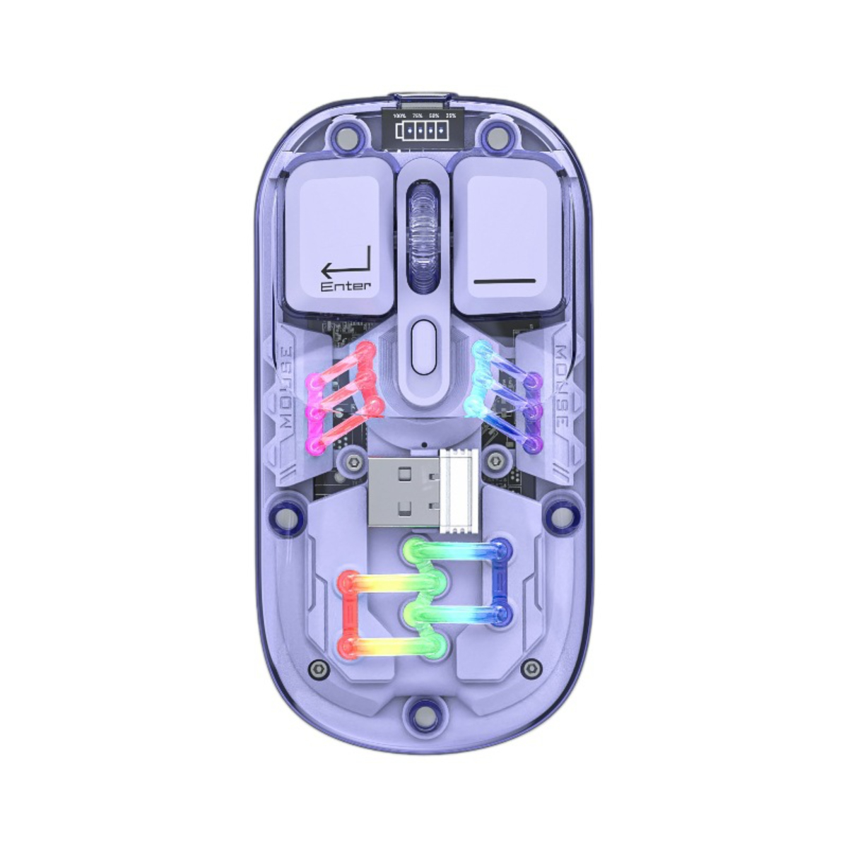 Eine transparente Maus zeigt interne Komponenten mit bunten Lichtern.