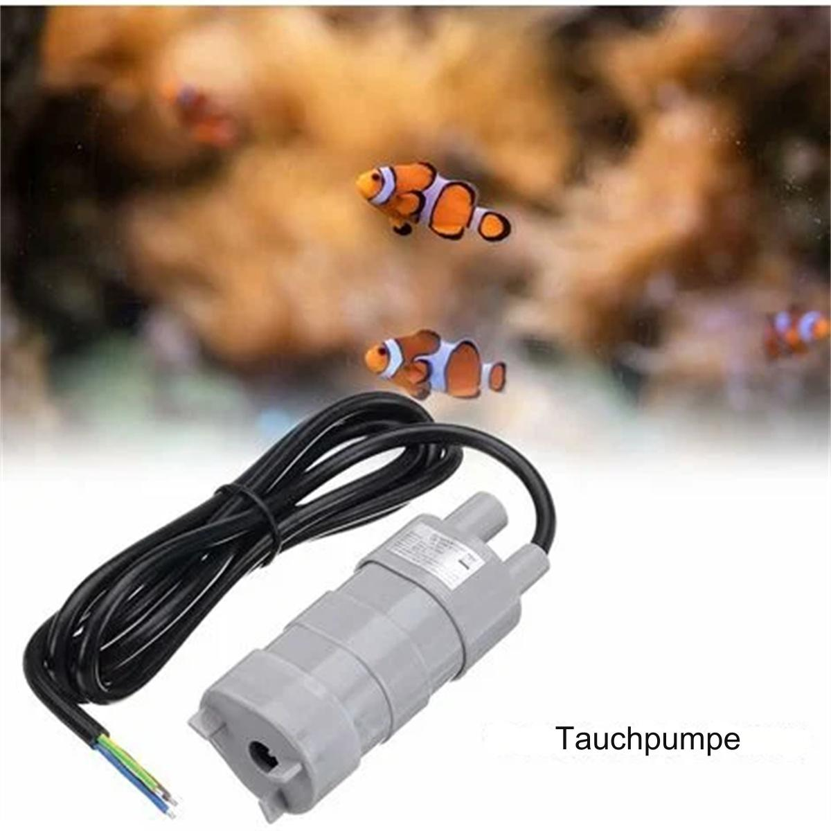 Eine Aquarienszene mit Clownfischen und einer Tauchpumpe mit schwarzem Kabel.