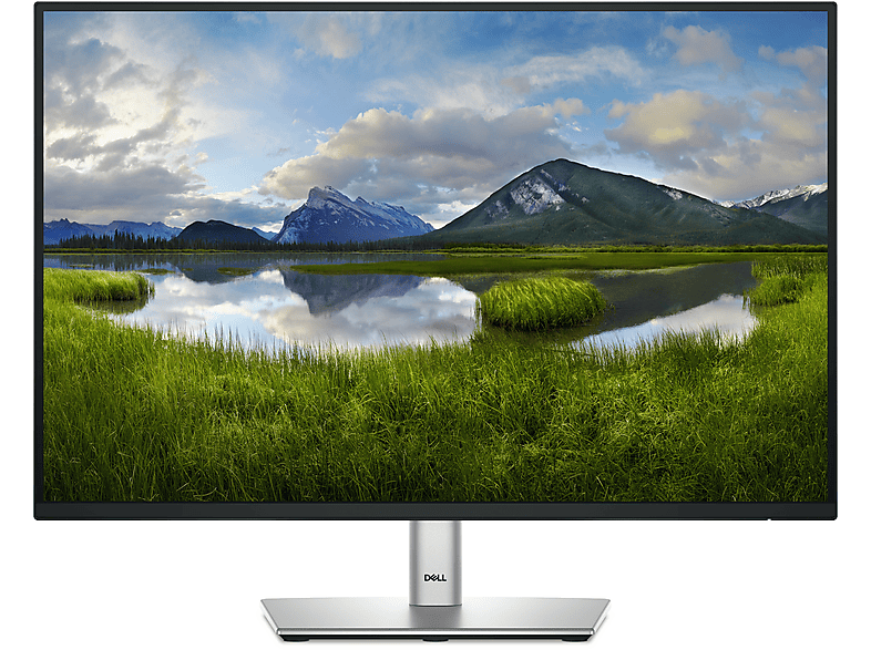 DELL Pro Plus P2425E Czarny