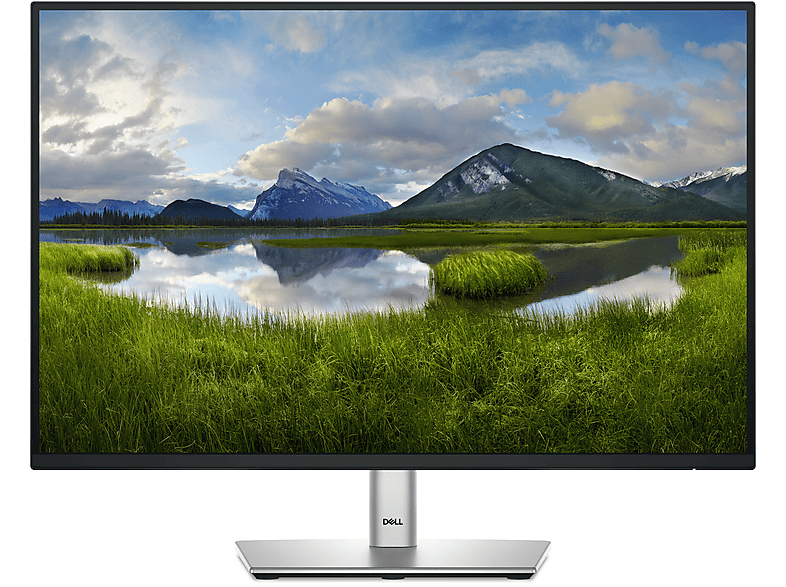 Monitor - DELL P Series P2425E