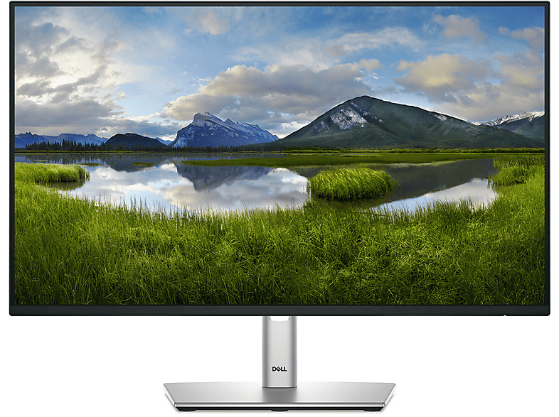 DELL P2425HE SCHWARZ 24 Zoll Full-HD Business Monitor (8 ms Reaktionszeit , 100 Hz , 60 Hz nativ)