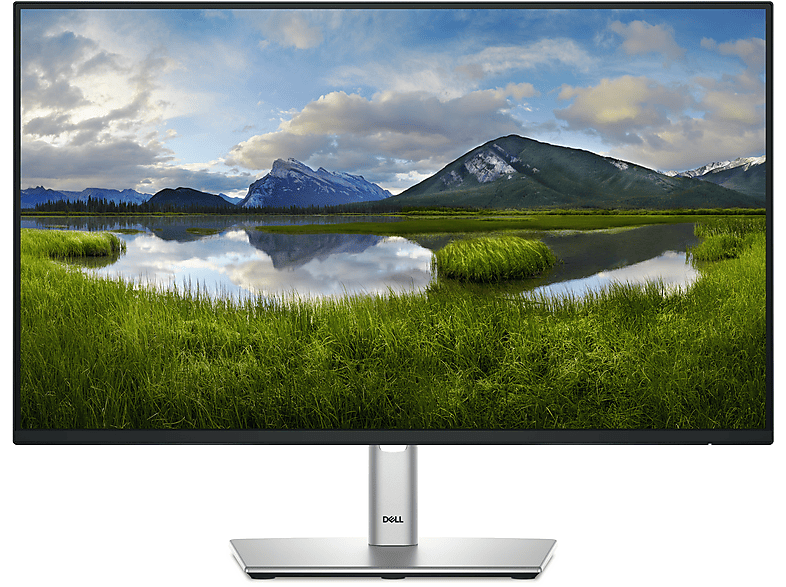 Monitor - DELL DELL-P2425HE