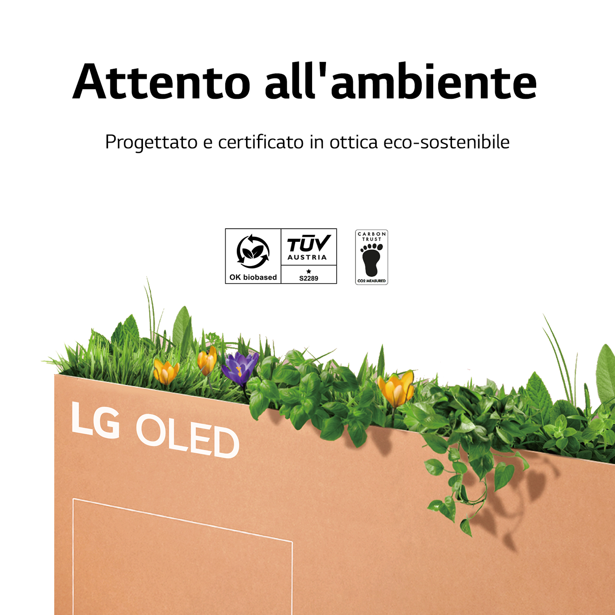 Una scatola con testo sulla responsabilità ambientale, con piante e il logo LG OLED.