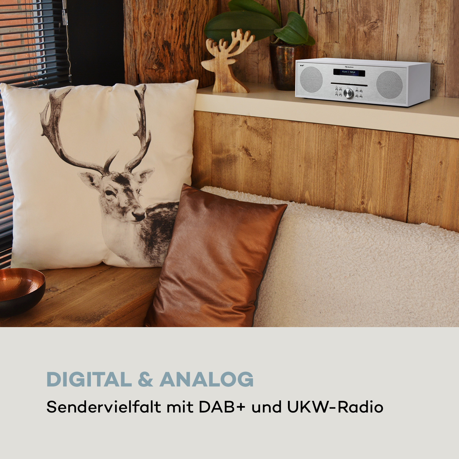 Ein Radio auf einem Regal, mit Kissen und einem Hirschdekor. Text: Digital & Analog.