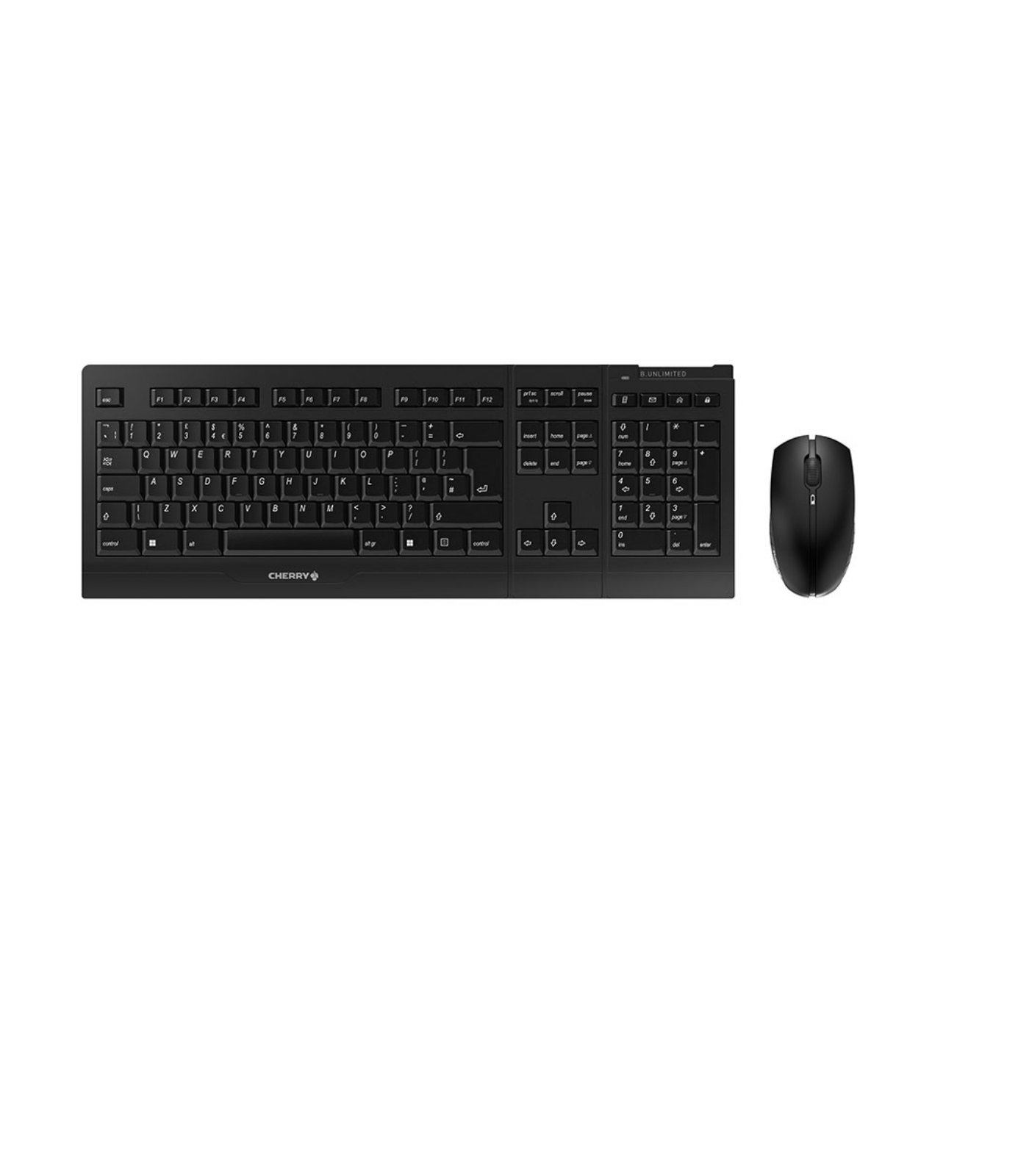 Una tastiera nera e un mouse nero uno accanto all'altro su sfondo bianco.