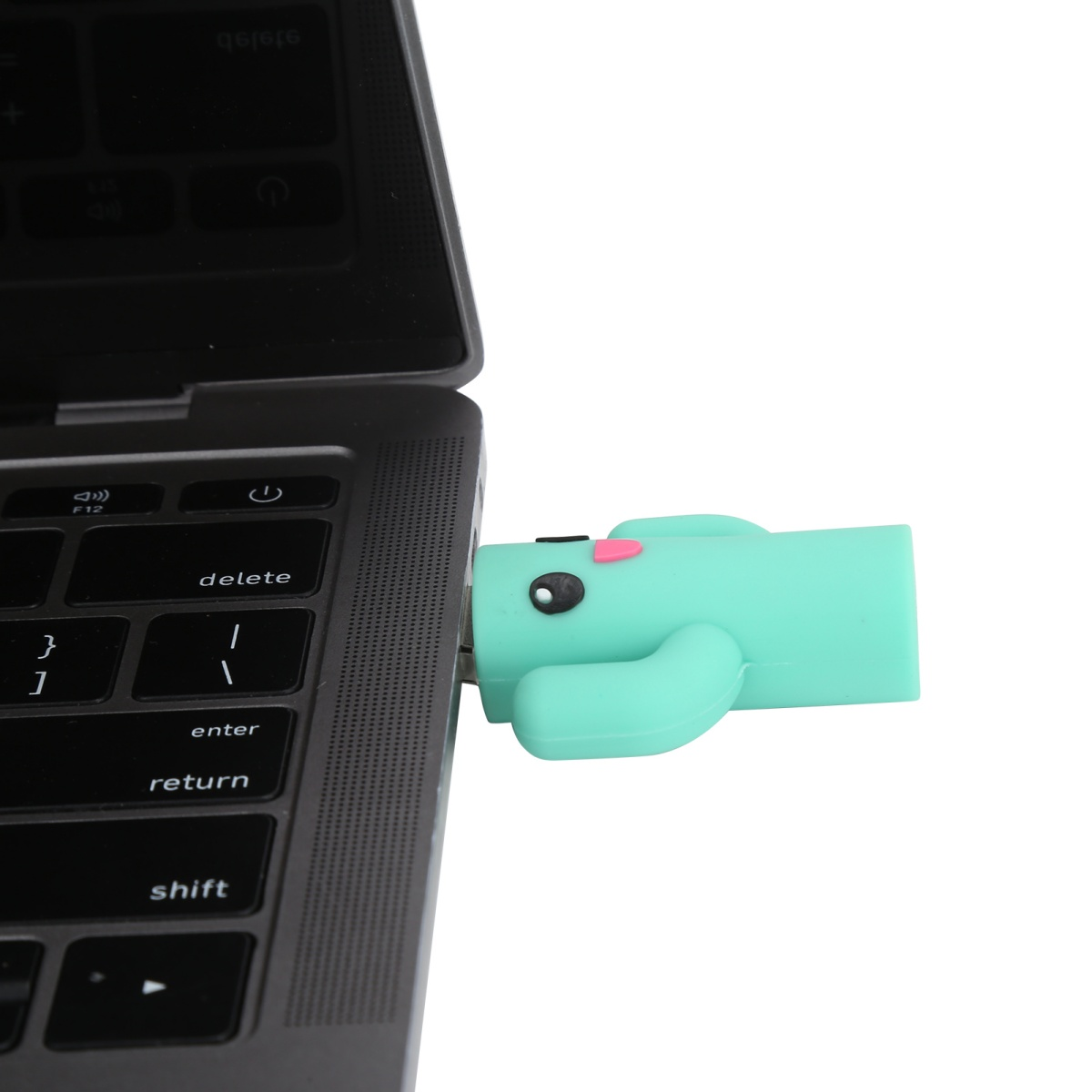 Ein türkisfarbener USB-Stick in Kaktusform ist an einen Laptop angeschlossen.