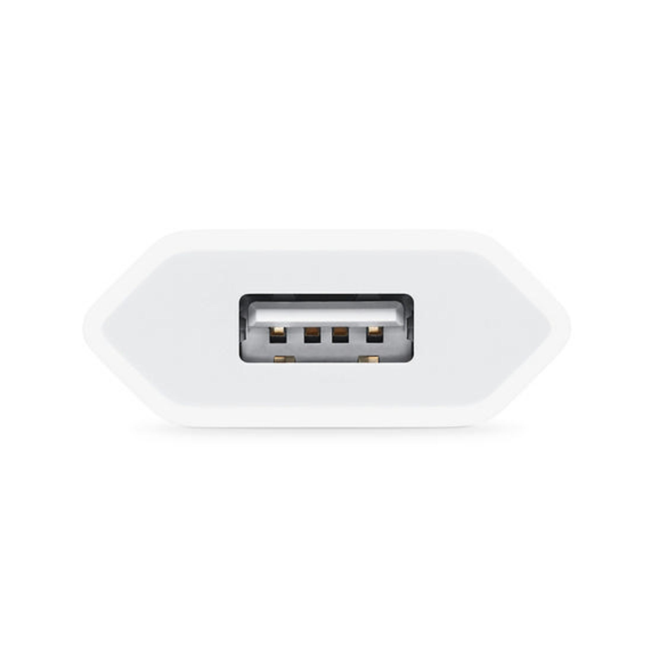 Un primo piano di un connettore USB bianco con una porta rettangolare.