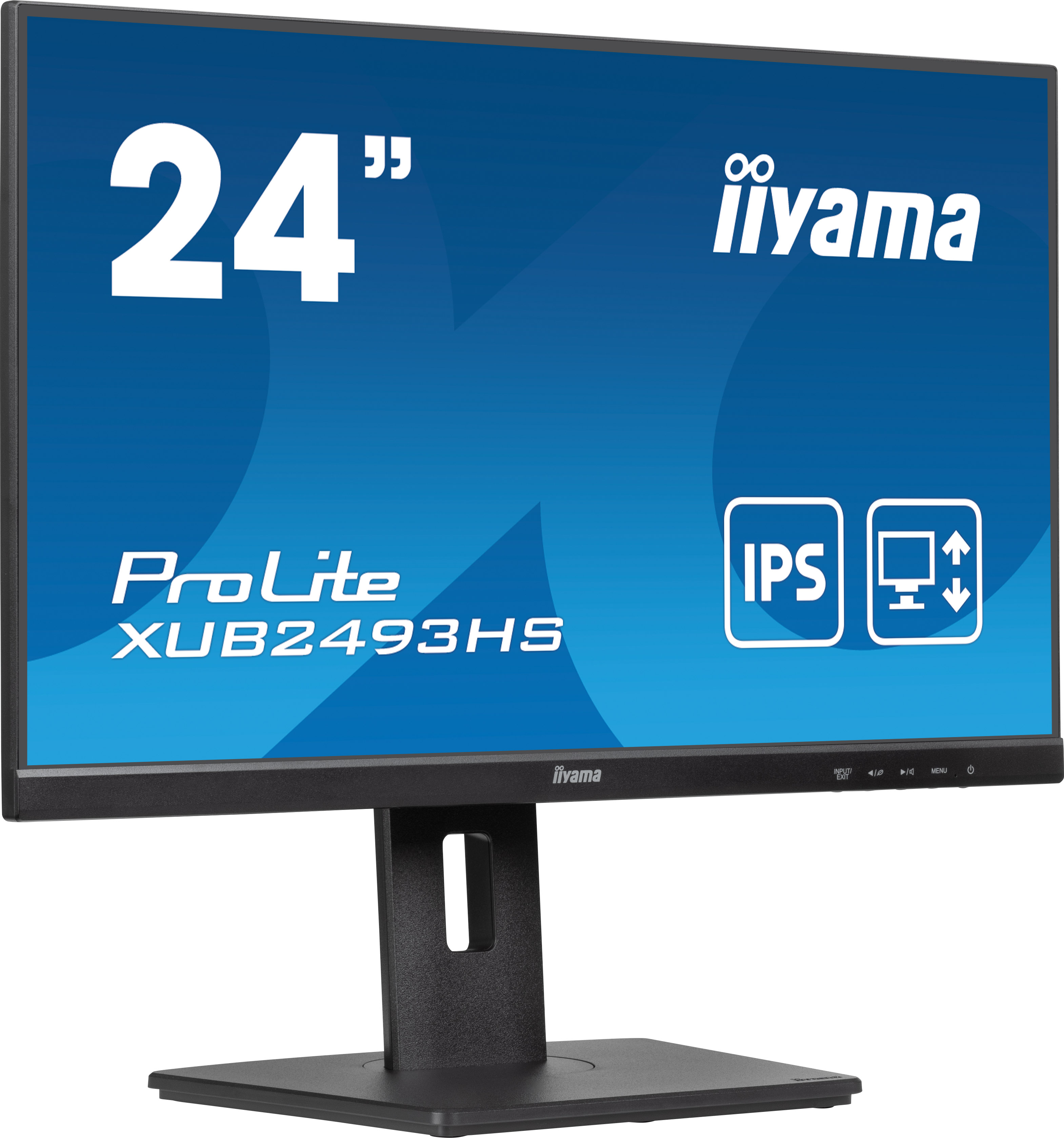 24" monitor with black frame and stand. Text: ProLite, iiyama. Blue screen with icons.