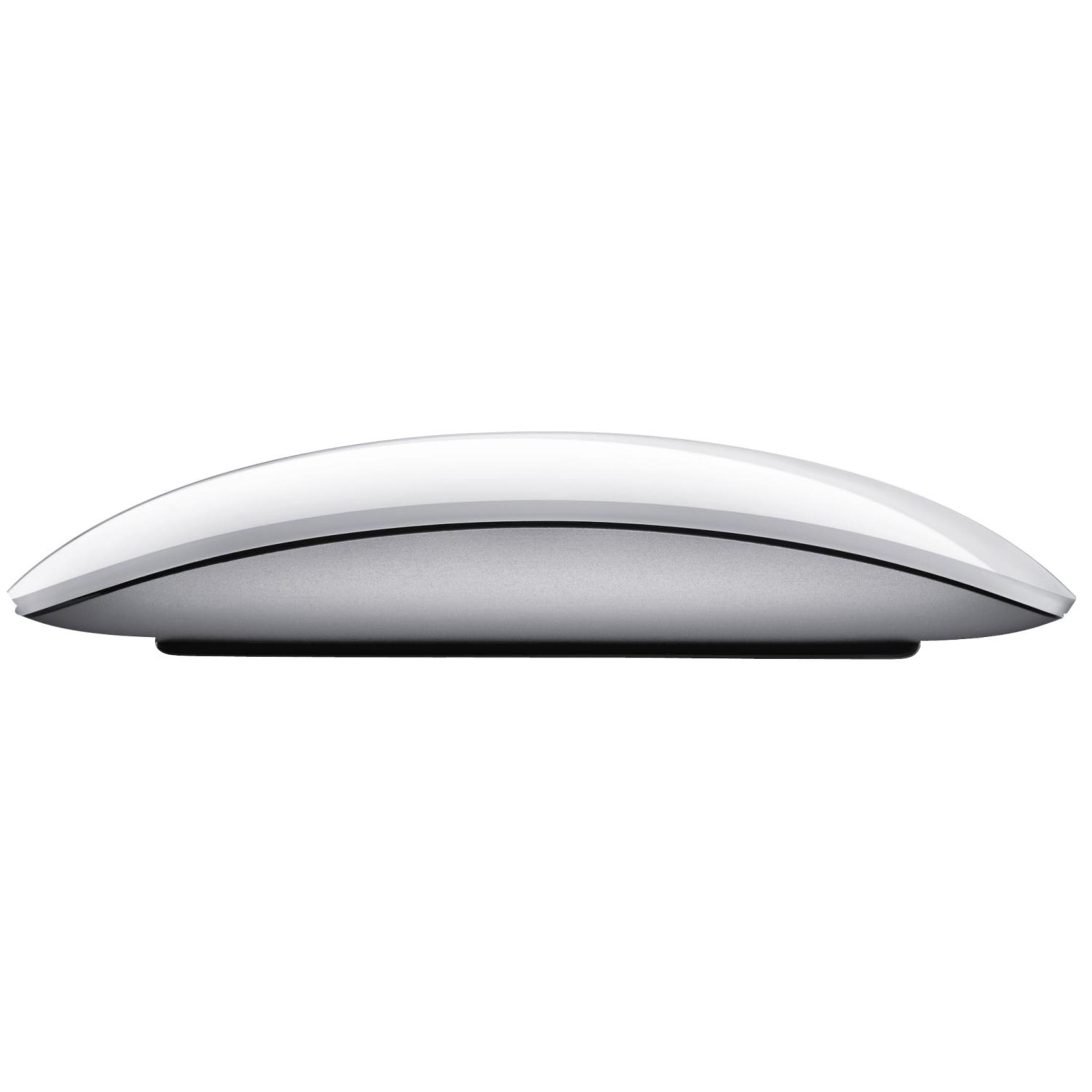 Eine weiße und silberne Apple Magic Mouse. Seitenansicht. Weißer Hintergrund.