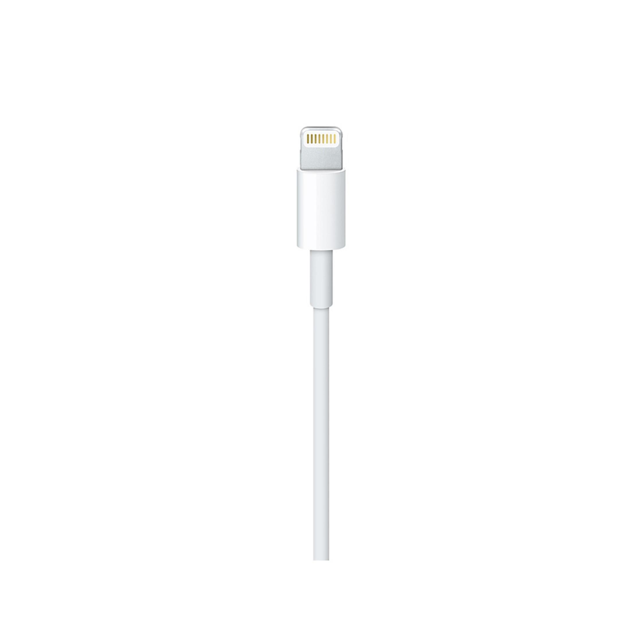 Weißes Apple Lightning-Kabel, das den Stecker und das Kabel zeigt.