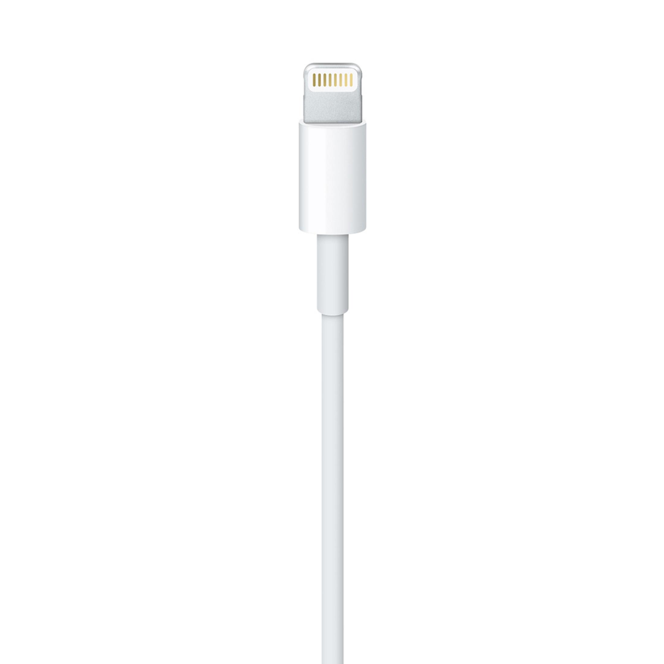 Ein weißes Lightning-zu-USB-Kabel mit weißem Hintergrund.
