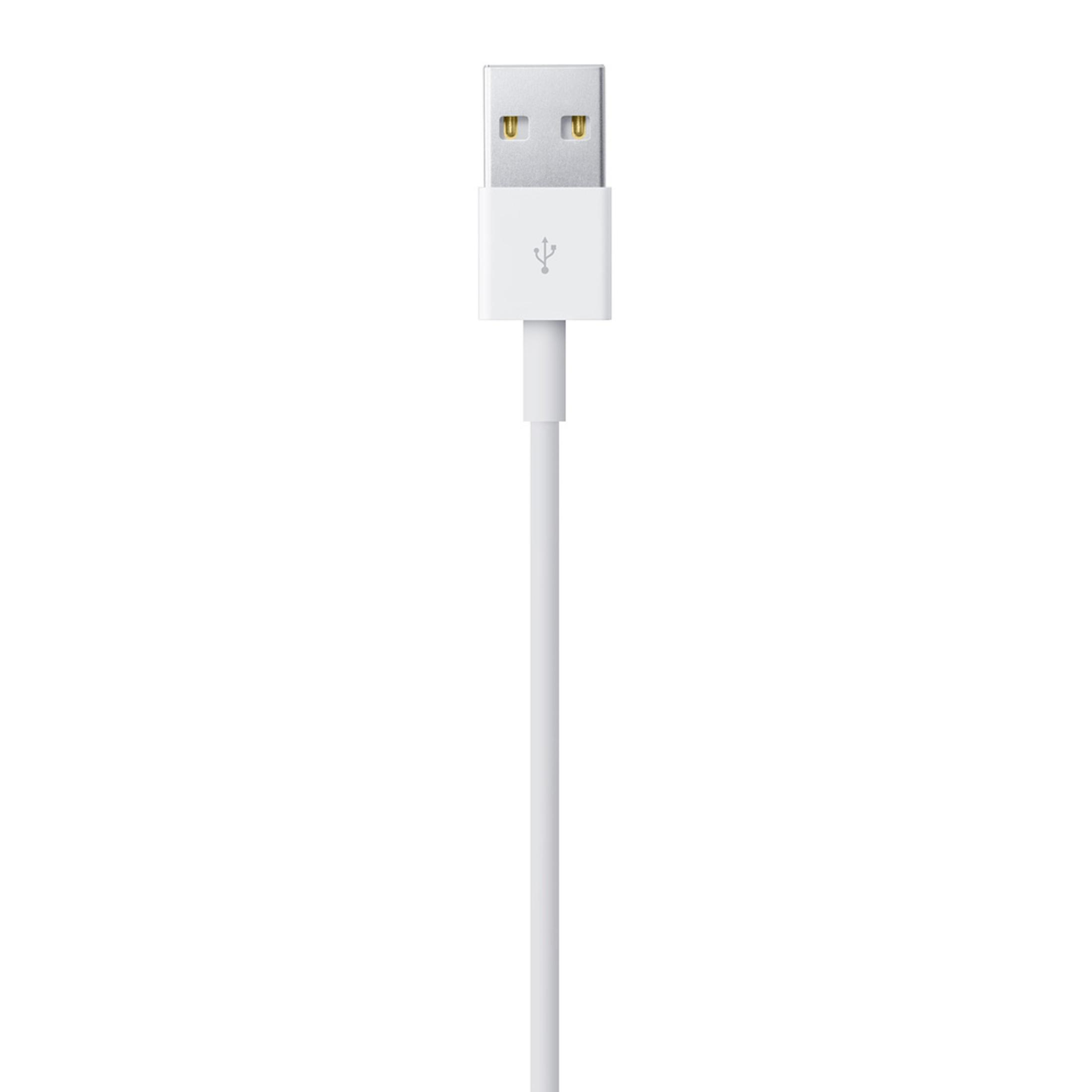 Weißes USB-Kabel mit Lightning-Anschluss am Ende. Weißer Hintergrund.