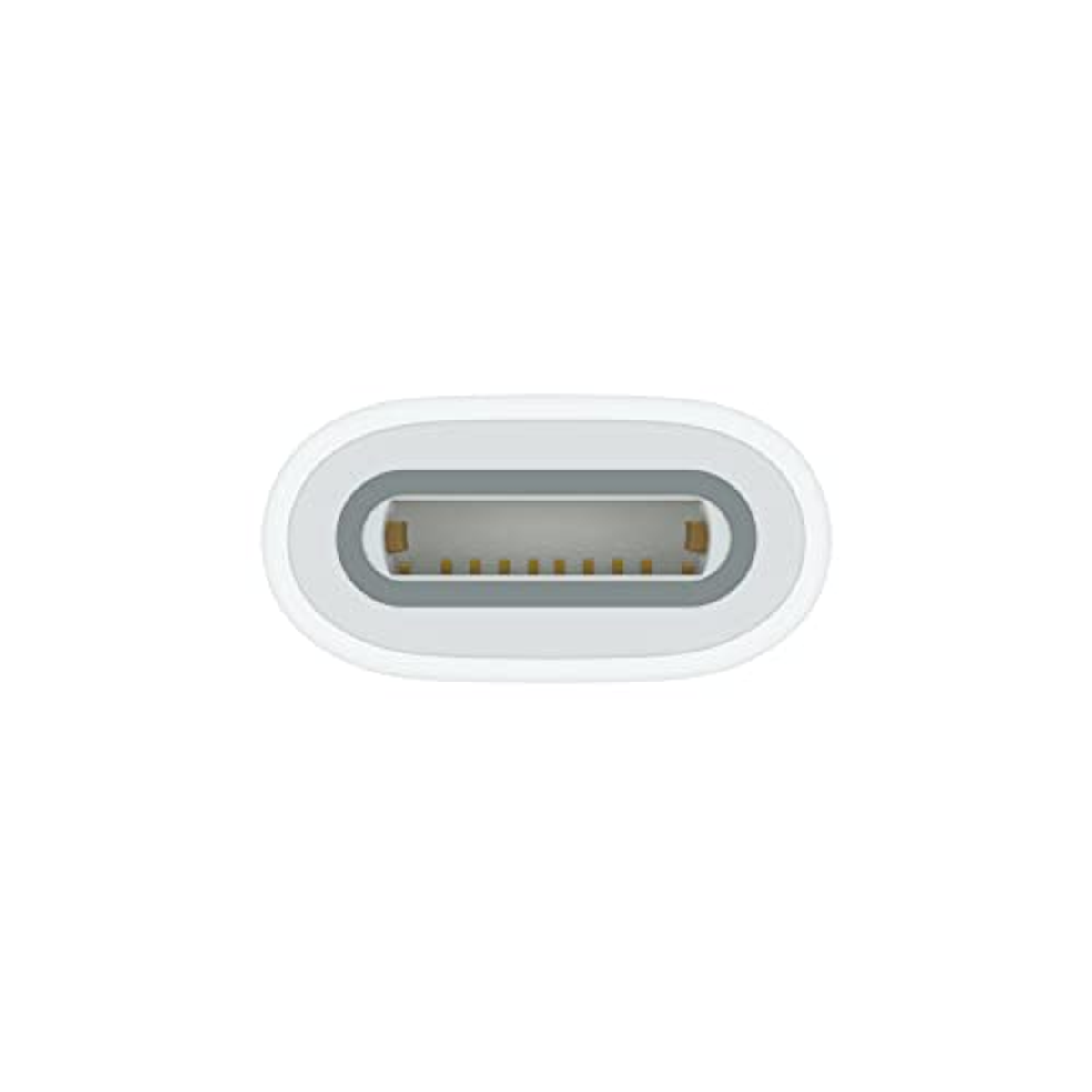 USB-C-Anschluss, weißes Kunststoffgehäuse, grauer Innenraum, goldene Stifte, weißer Hintergrund.