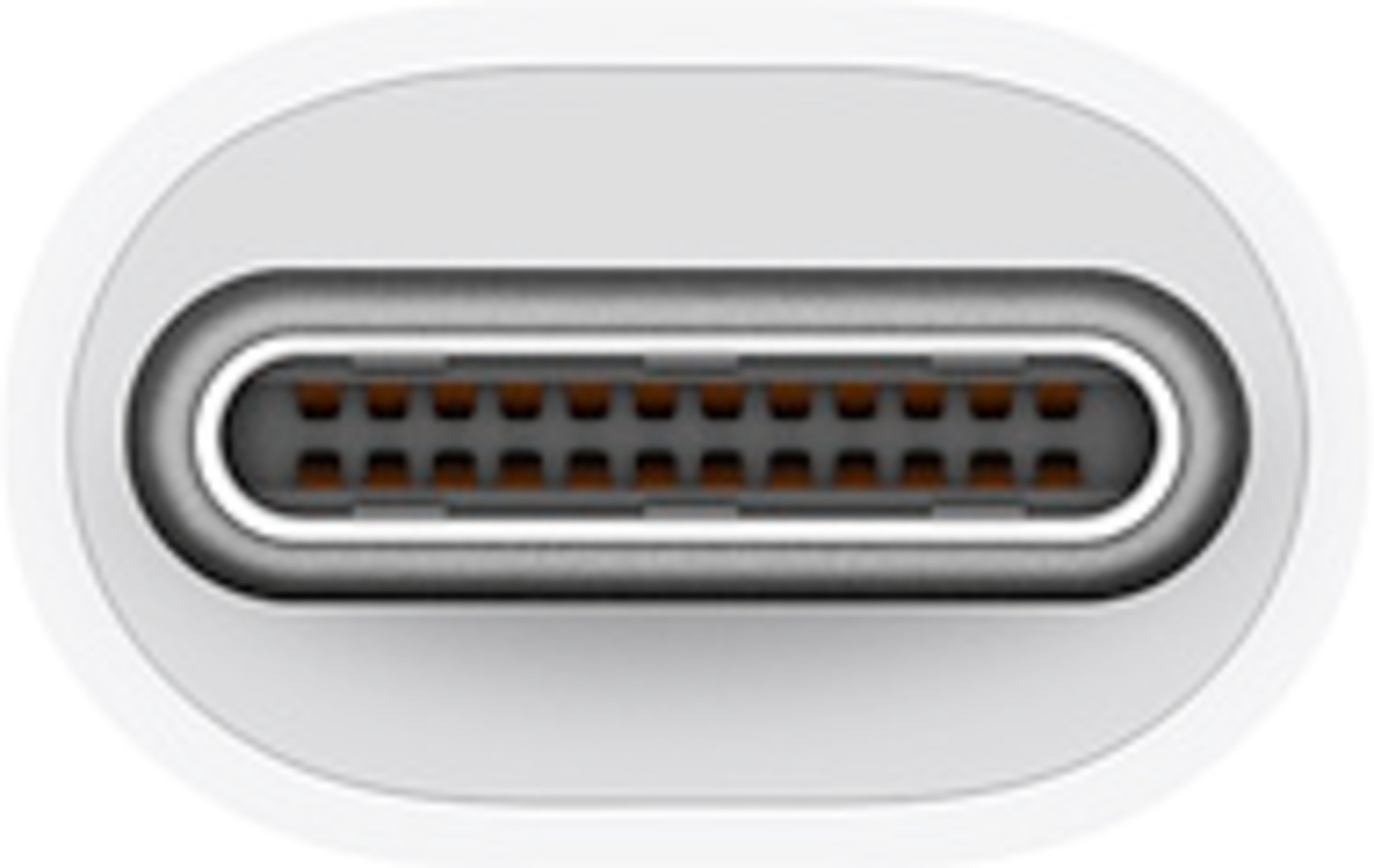 Nahaufnahme eines weißen USB-C-Anschlusses, der die inneren Stifte und die äußere Hülle zeigt.