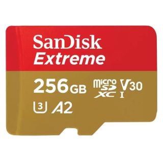 SANDISK EXTREME micro-SDXC, Micro-SD Speicherkarte, 256 GB, 190 MB/s