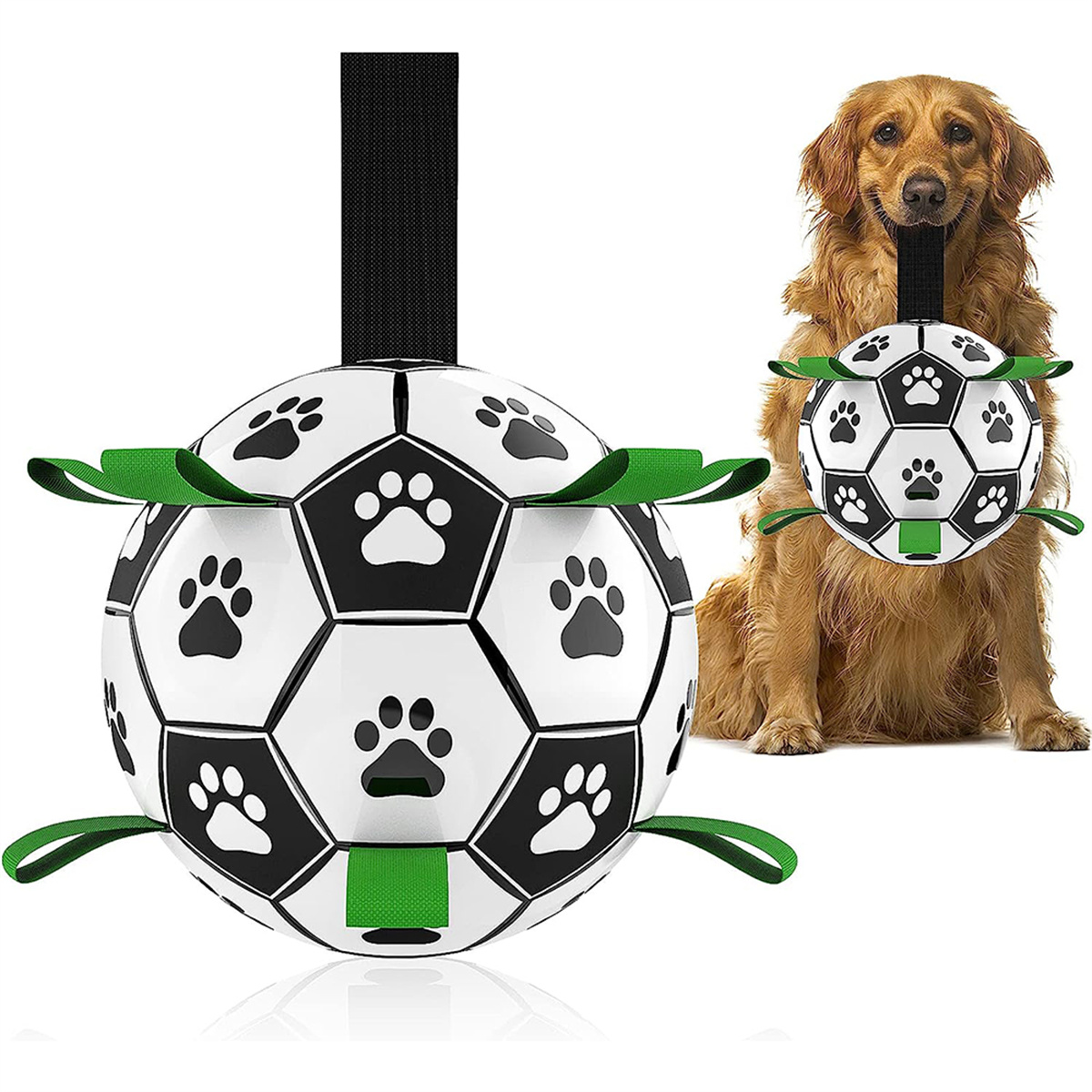 Hund spielt mit einem Fußballspielzeug. Der Ball ist weiß mit Pfotenabdrücken.
