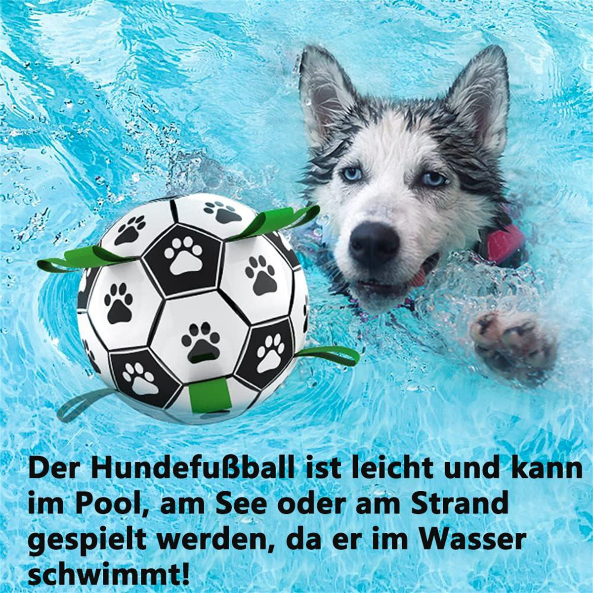 Ein Hund schwimmt mit einem Fußball mit Pfotenabdrücken. Klares Wasser im Hintergrund.