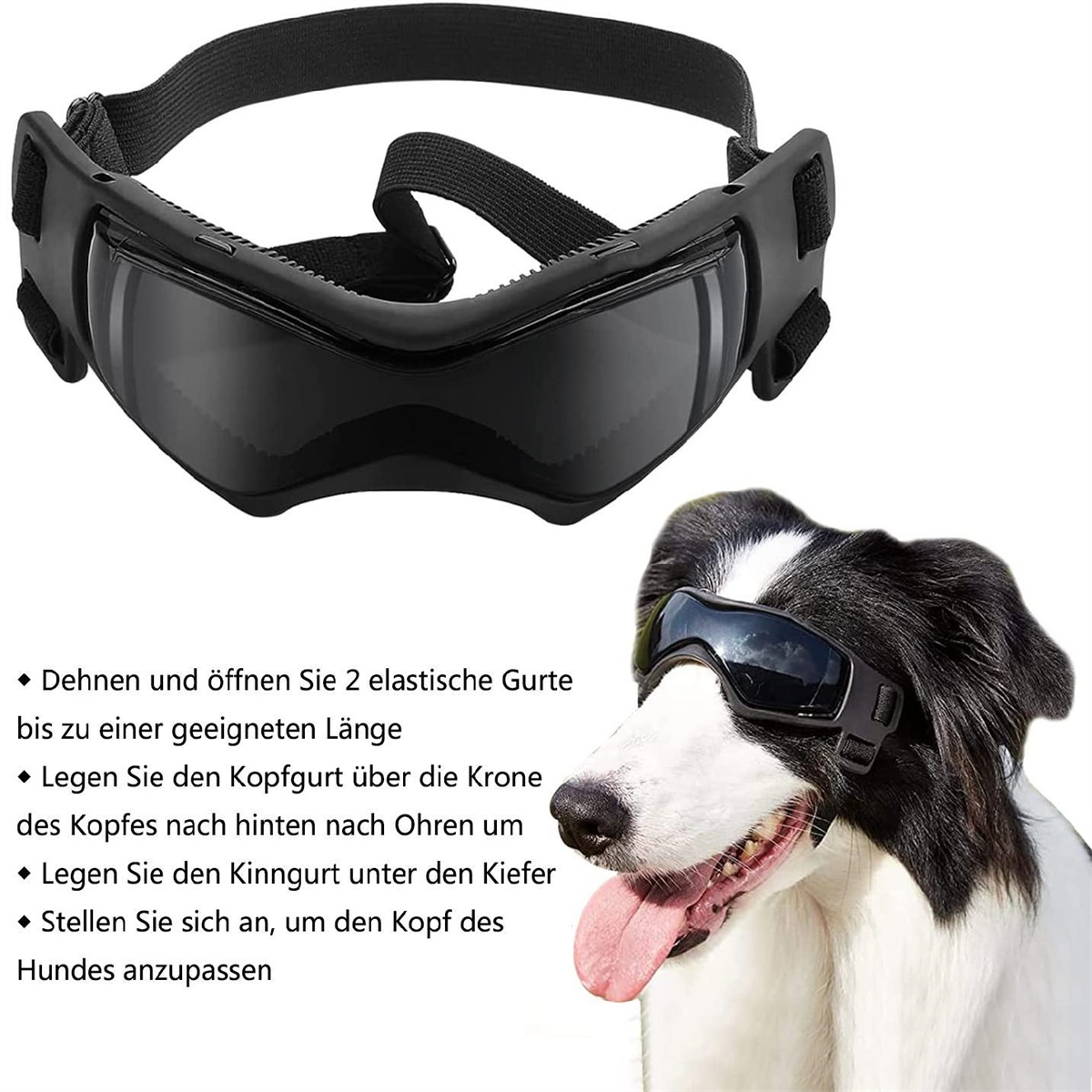 Schwarze Hundegläser mit schwarzem Riemen, getragen von einem Hund mit weiß-schwarzem Fell.