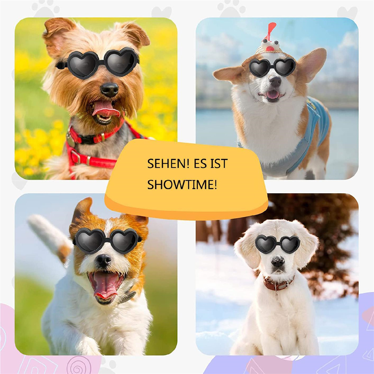 Vier Hunde mit herzförmigen Sonnenbrillen, mit dem Text 'SHOWTIME!'. Unterschiedliche Hintergründe.