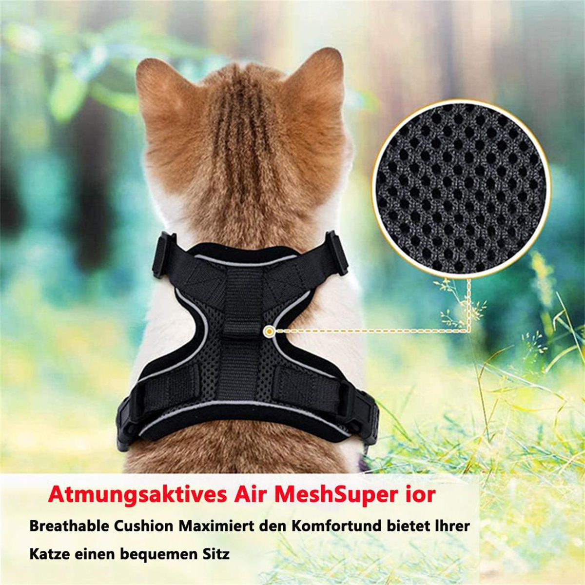 Eine Katze trägt ein schwarzes Mesh-Geschirr mit Text über atmungsaktiven Komfort.