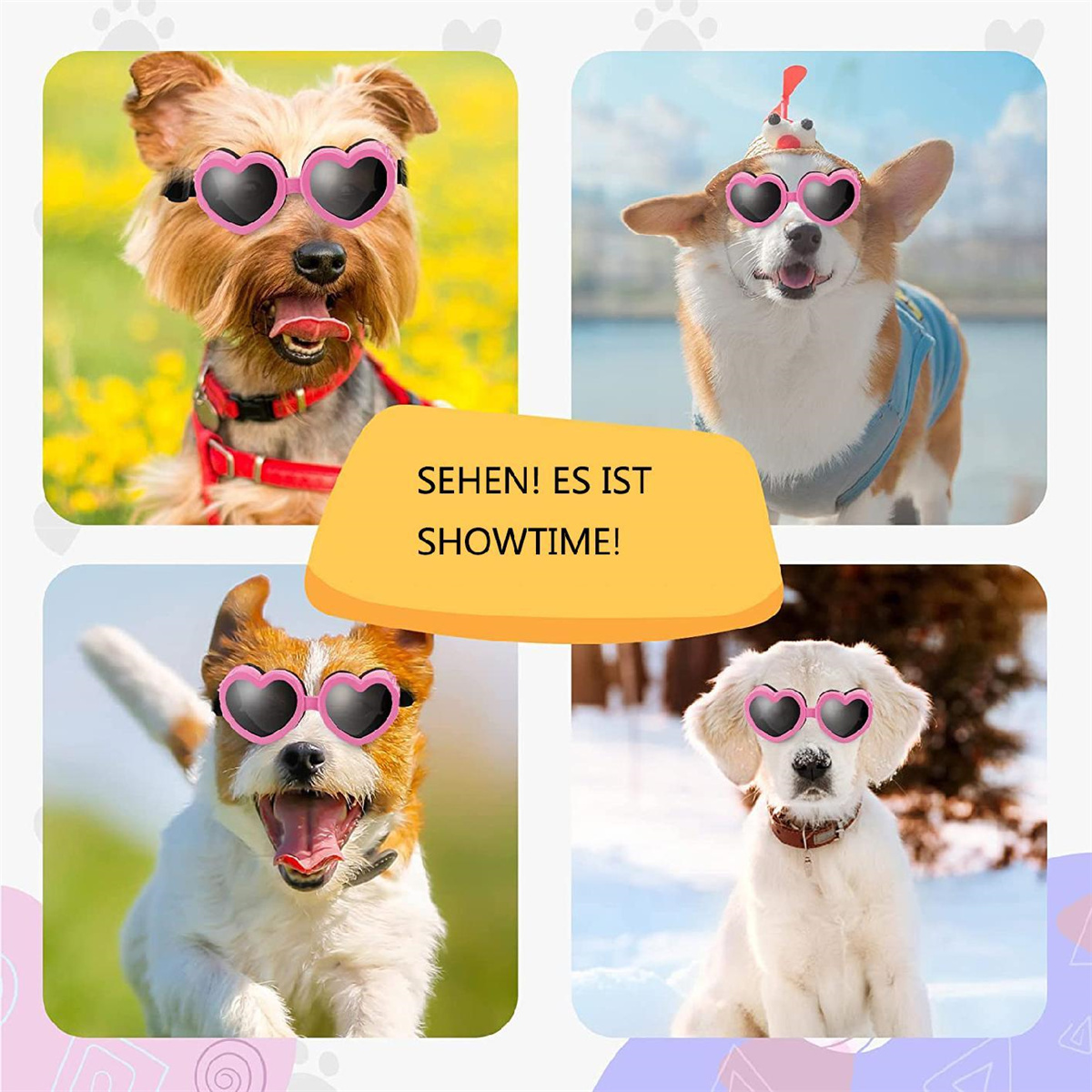 Vier Hunde mit herzförmigen Sonnenbrillen. Text: SIEHE! ES IST SHOWTIME!