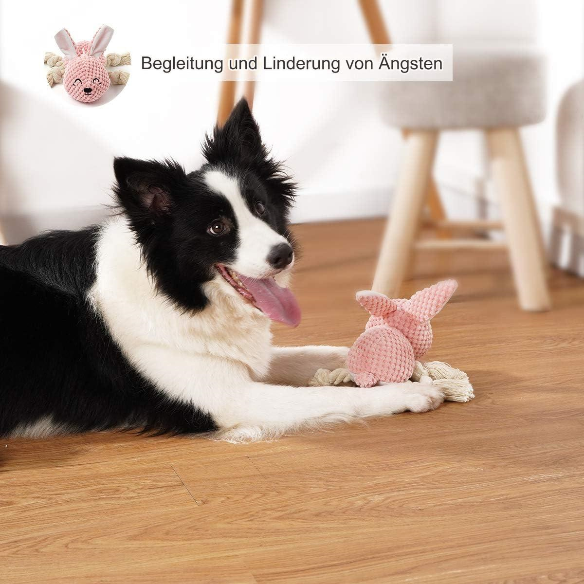 Ein schwarz-weißer Hund mit einem rosa Spielzeug, einem rosa Hasen, mit einem weiß-grauen Hintergrund.