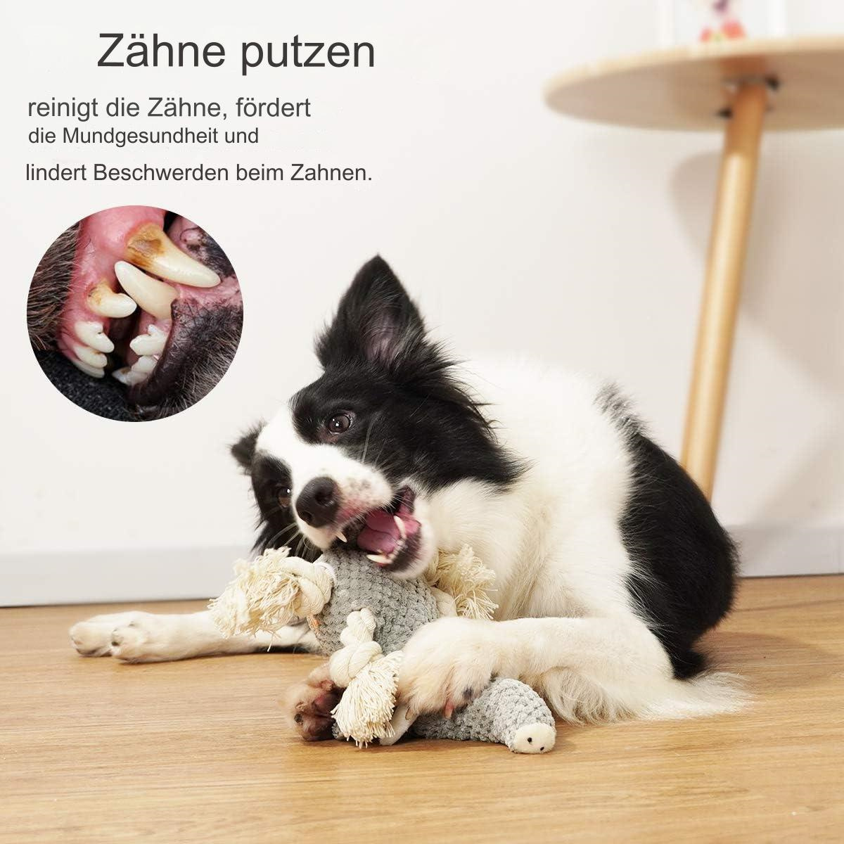 Hund, der ein Spielzeug kaut. Text: Reinigt Zähne, fördert Mundgesundheit und lindert Beschwerden beim Zähnen.