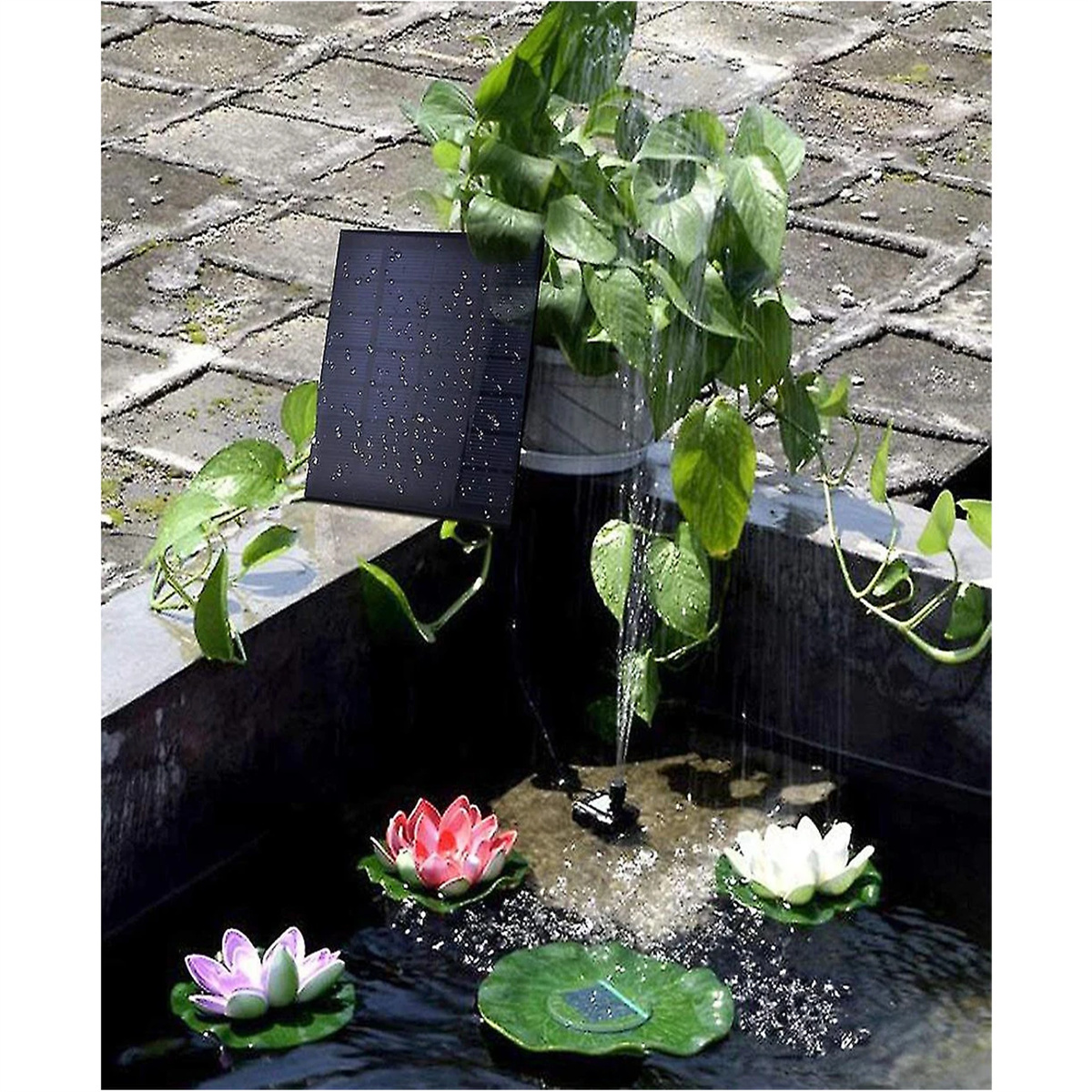 Solarbetriebener Brunnen in einem Steinbecken mit Seerosen und Pflanzen. Weißer Hintergrund.