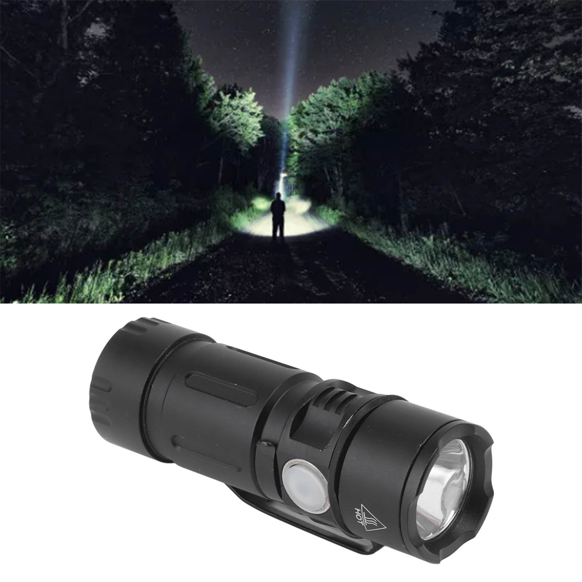 Eine Person in einem dunklen Wald leuchtet mit einer Taschenlampe einen Weg in den Nachthimmel aus.
