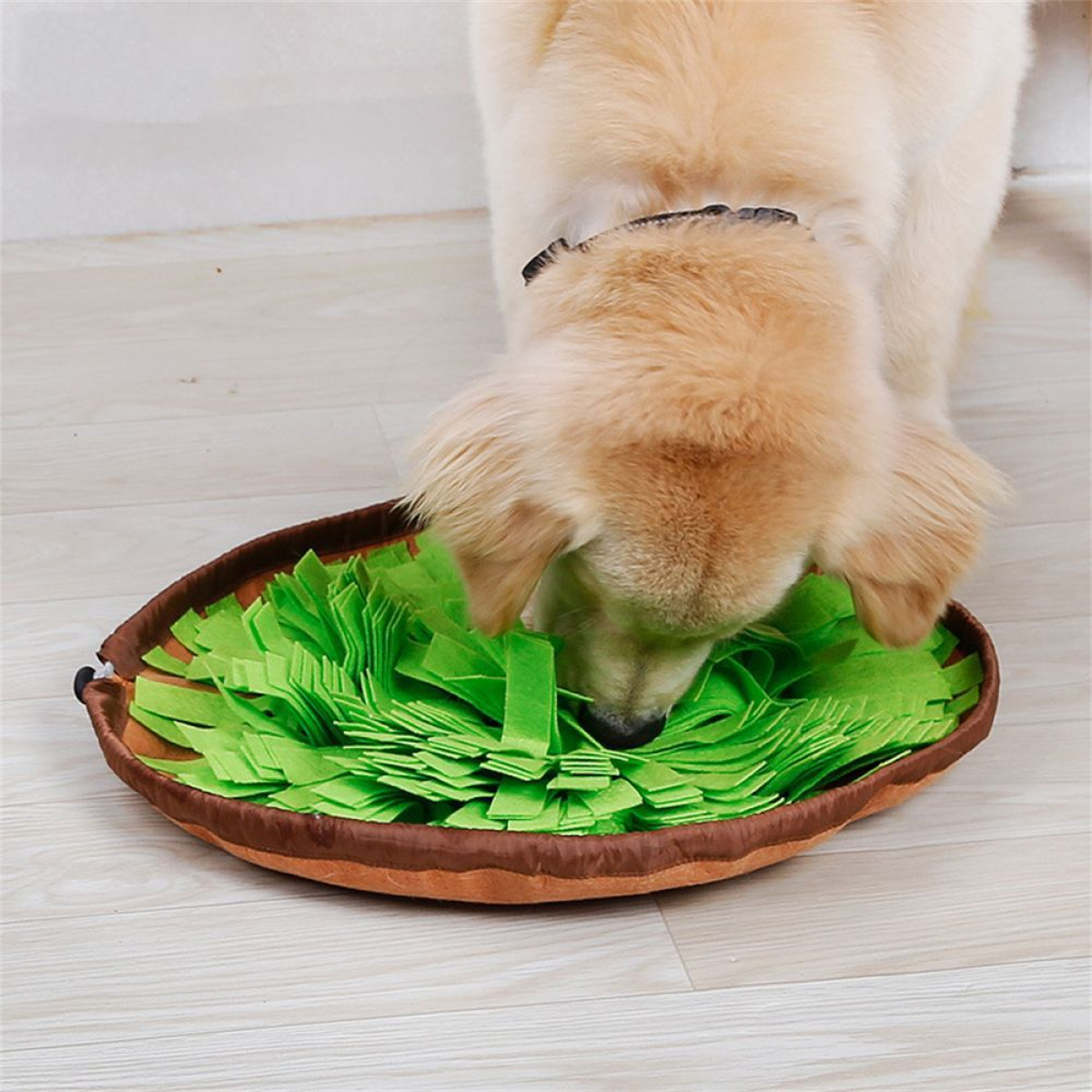 Ein Golden Retriever frisst aus einer grünen, filzartigen Hunde-Puzzle-Schüssel. Brauner Rand. Der Hund.