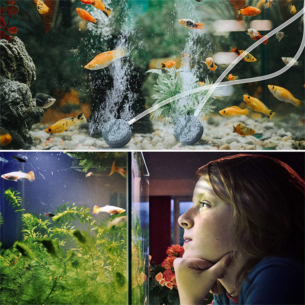 Oben: Aquarium mit Fischen und Blasen. Unten: Mädchen betrachtet nachdenklich das Aquarium.