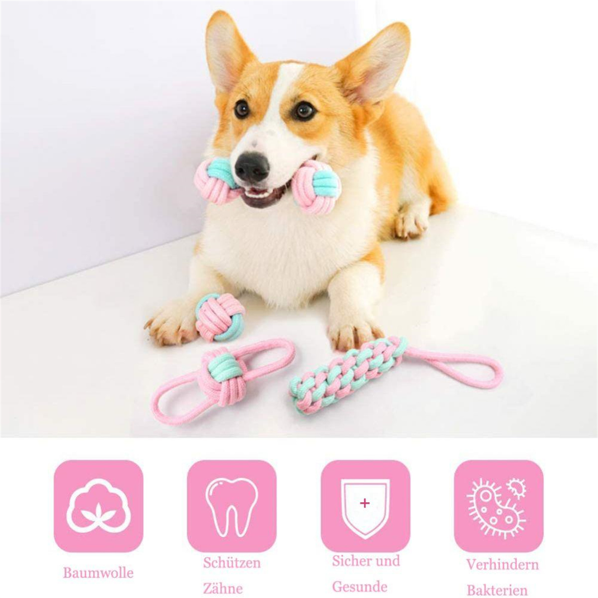 Corgi-Hund mit rosa und blauen Seilspielzeugen. Spielzeuge liegen am Boden. Icons im Hintergrund.