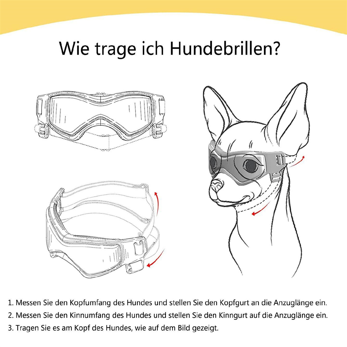 Illustration einer Hundebrille. Anweisungen mit Diagrammen. Text auf Deutsch zur Anwendung.