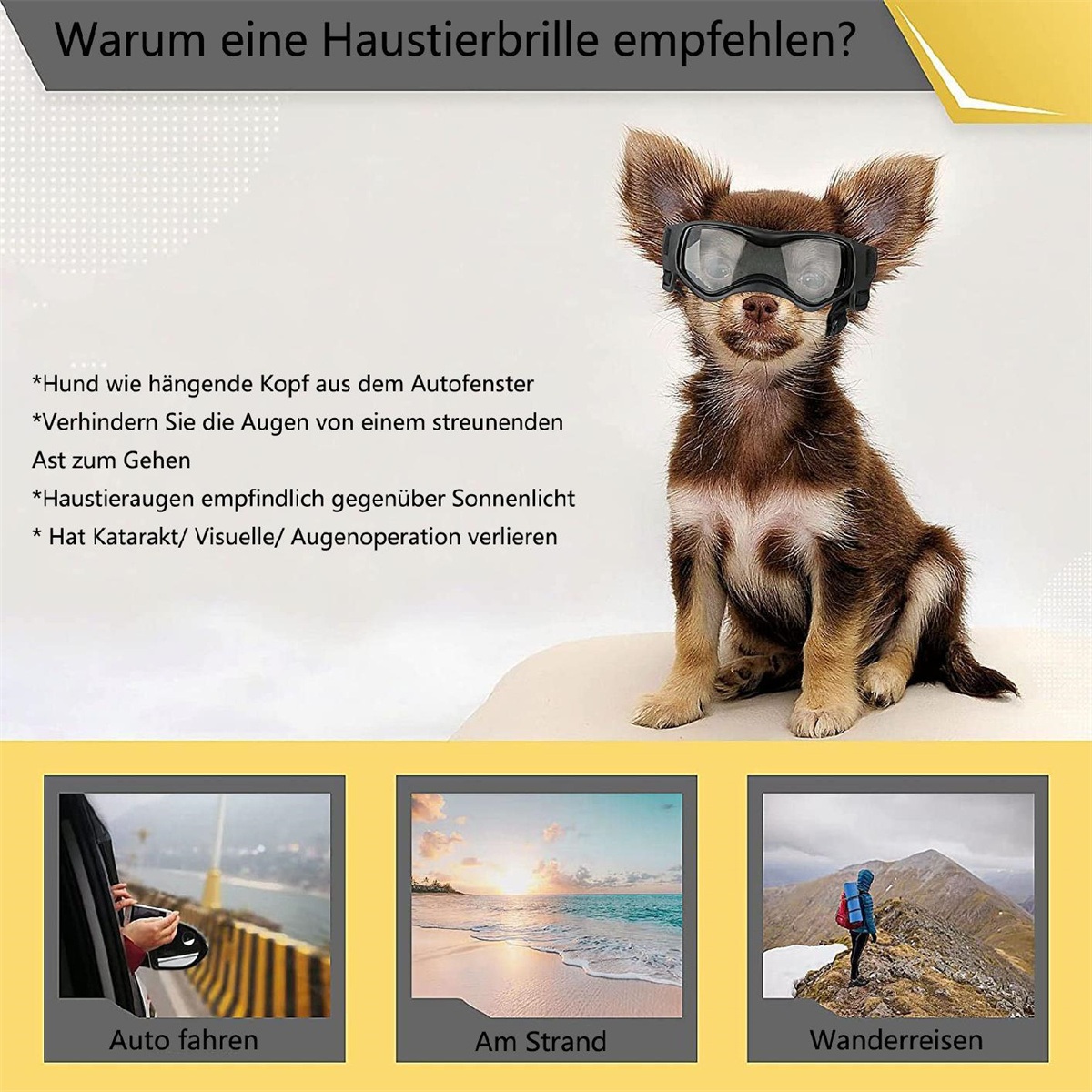 Ein Hund mit Schutzbrille, Text, warum Tierbrillen empfohlen werden, und drei Landschaftsfotos.