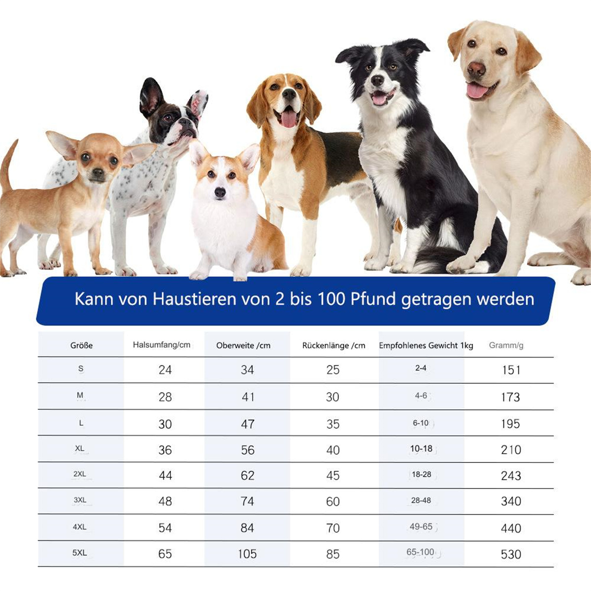 Hunde verschiedener Rassen. Größentabelle mit Maßen und Gewicht.