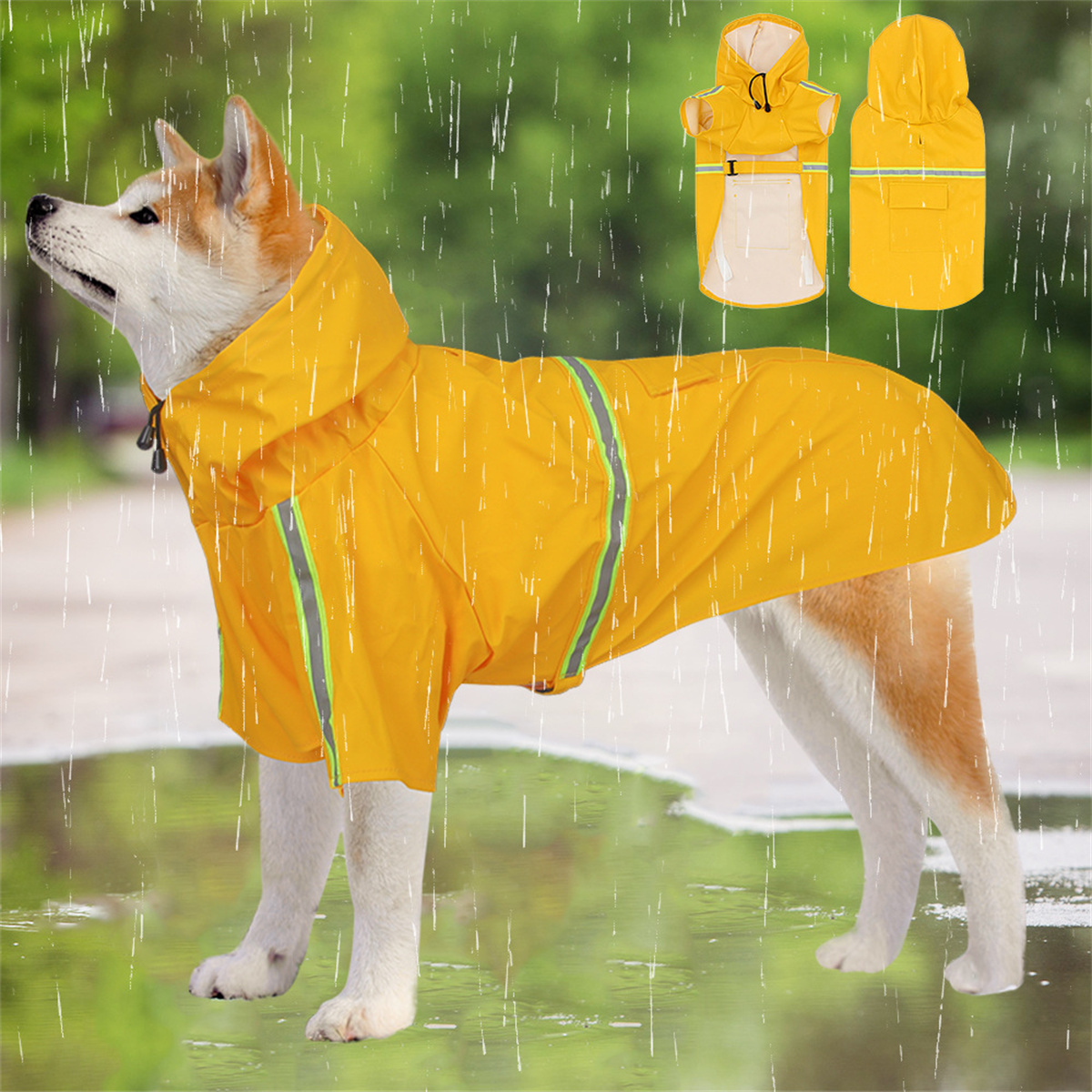 Hund trägt gelben Regenmantel im Regen, mit Regen und separater Regenmantel-Grafik.