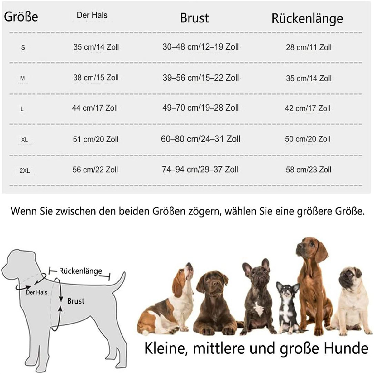 Hundegrößentabelle mit Messungen für Hals, Brust und Rückenlänge sowie Hunde.