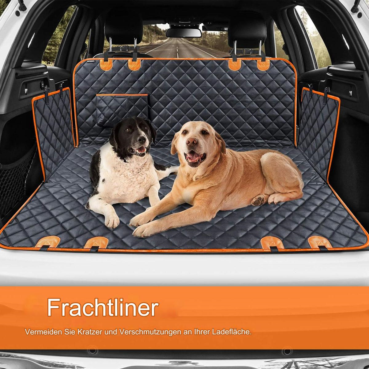 Zwei Hunde in einem Kofferraum, einer schwarz-weiß, der andere braun.
