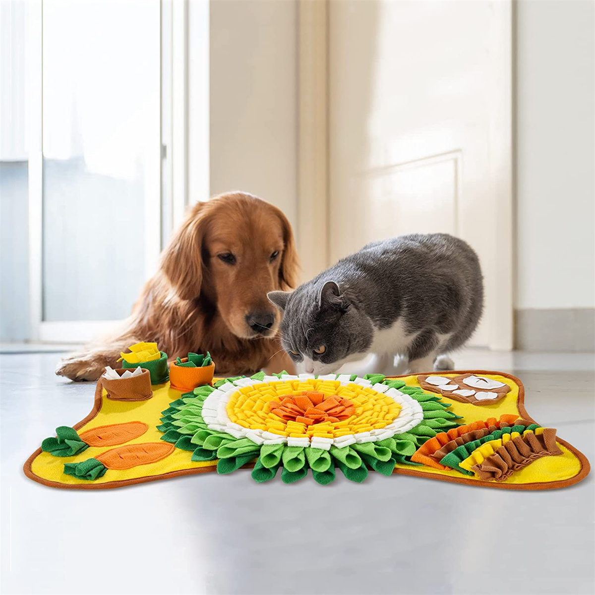 Hund und Katze in der Nähe einer bunten Filzmatte mit Futter. Weiße Tür im Hintergrund.