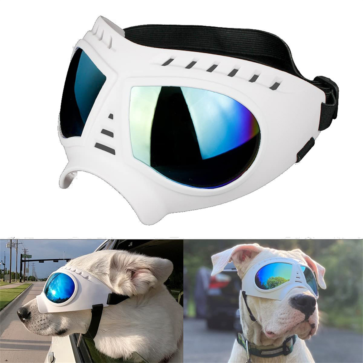 Weiße Hundegläser mit blau reflektierenden Gläsern, gezeigt an zwei Hunden in Außenbereichen.