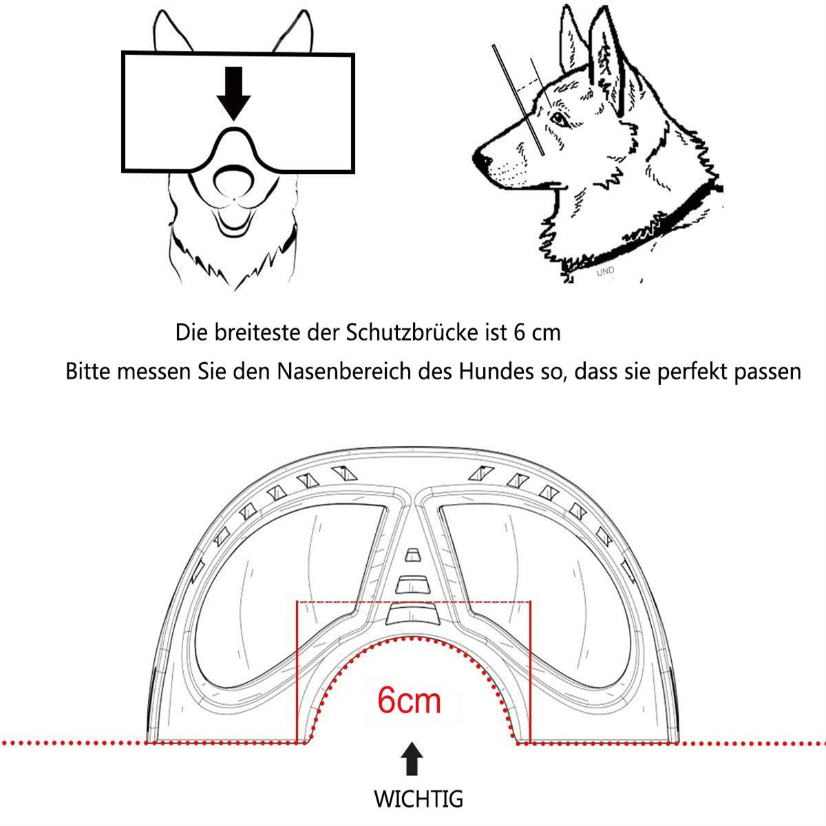 Diagramm, das Hundeschutzbrillen mit Messungen für einen 6 cm Nasenrücken zeigt, wichtig für die richtige Passform.