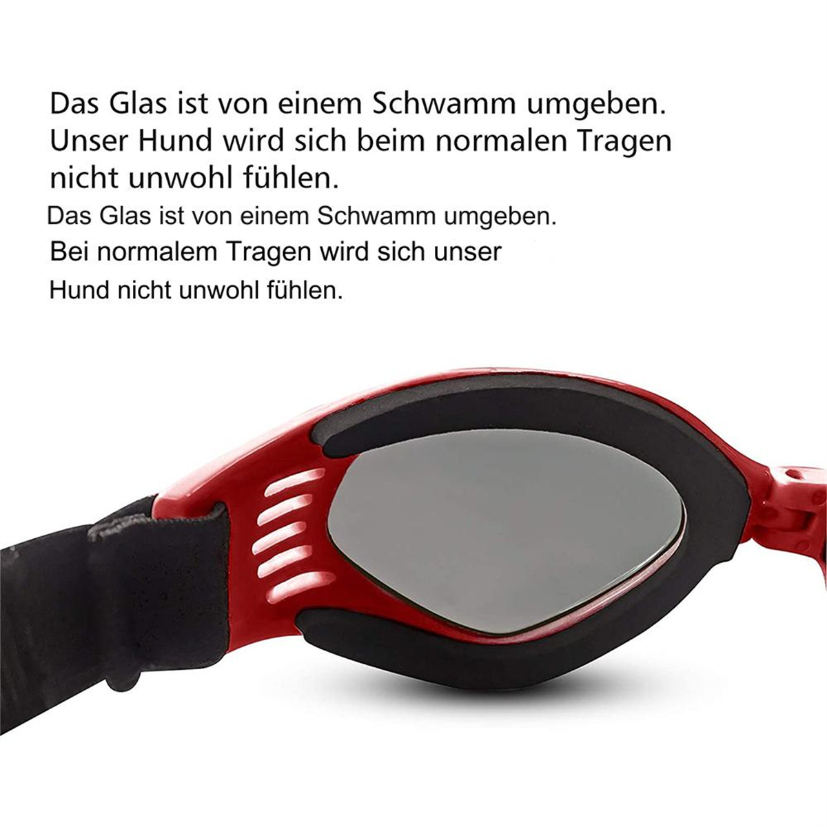 Nahaufnahme einer Hundegläser mit rotem Rahmen und grauer Linse, mit weißem Text oben.
