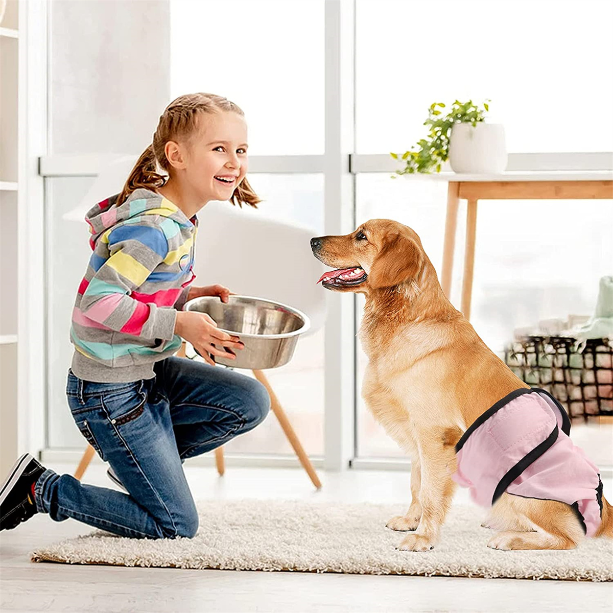 Mädchen mit Schüssel, Hund mit rosa Windel, weißer Hintergrund.
